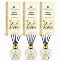 Herbal Aroma White Jasmine Reed Diffuser Set, 3 Pack Home Fragrance Diffusers, 100 mL Each, 300 mL Total, Floral Reed Diffusers for Home & Office